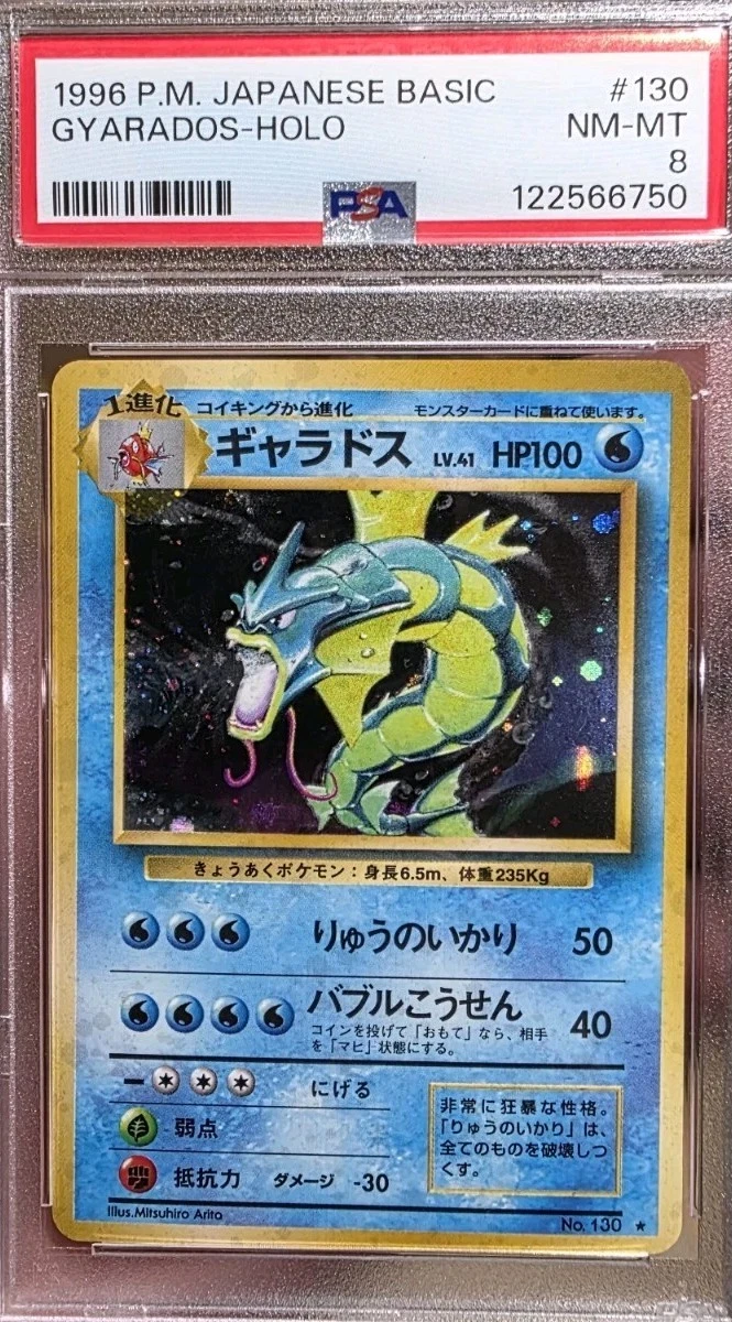 PSA 8 Gyarados Holo - 1996 Japanese Basic